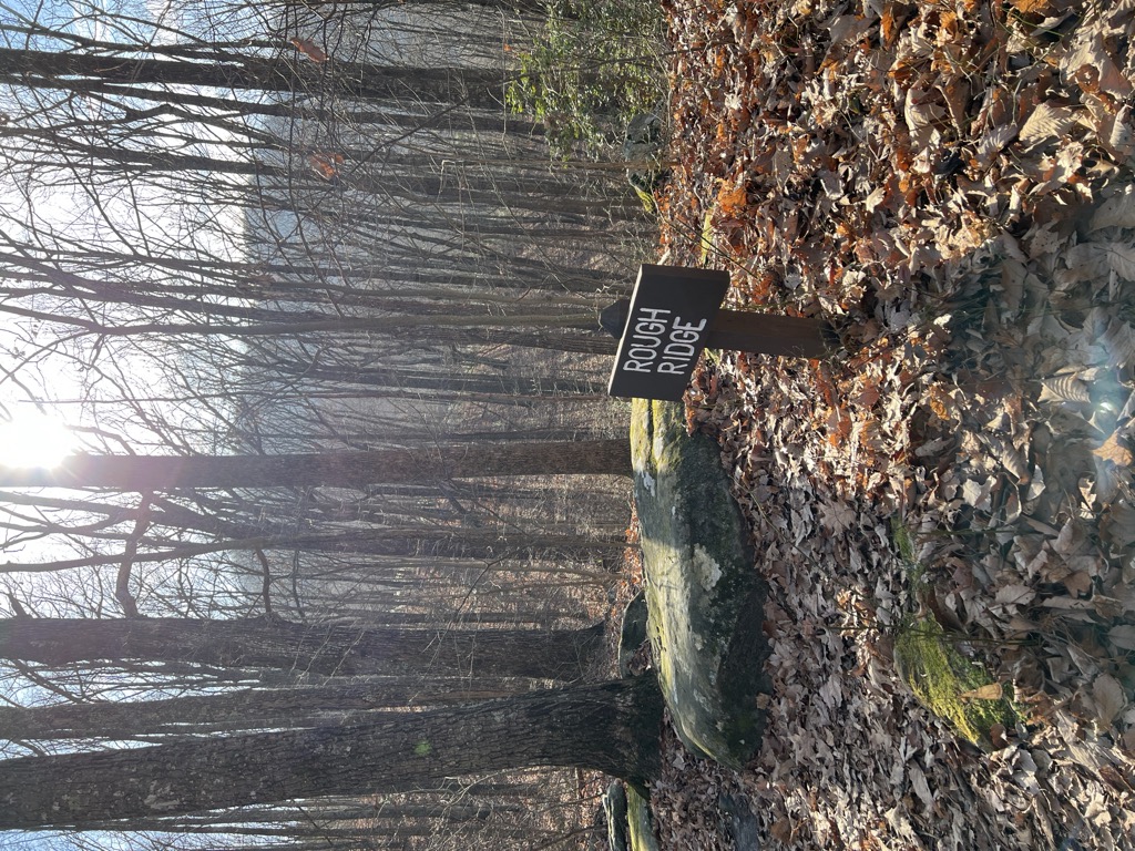 Rough Ridge