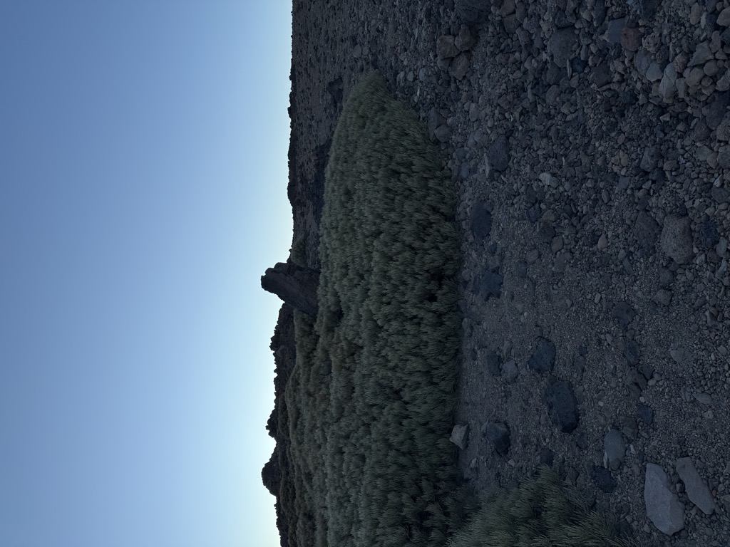 Pico Sur