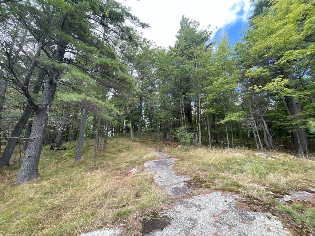 Brown Mountain