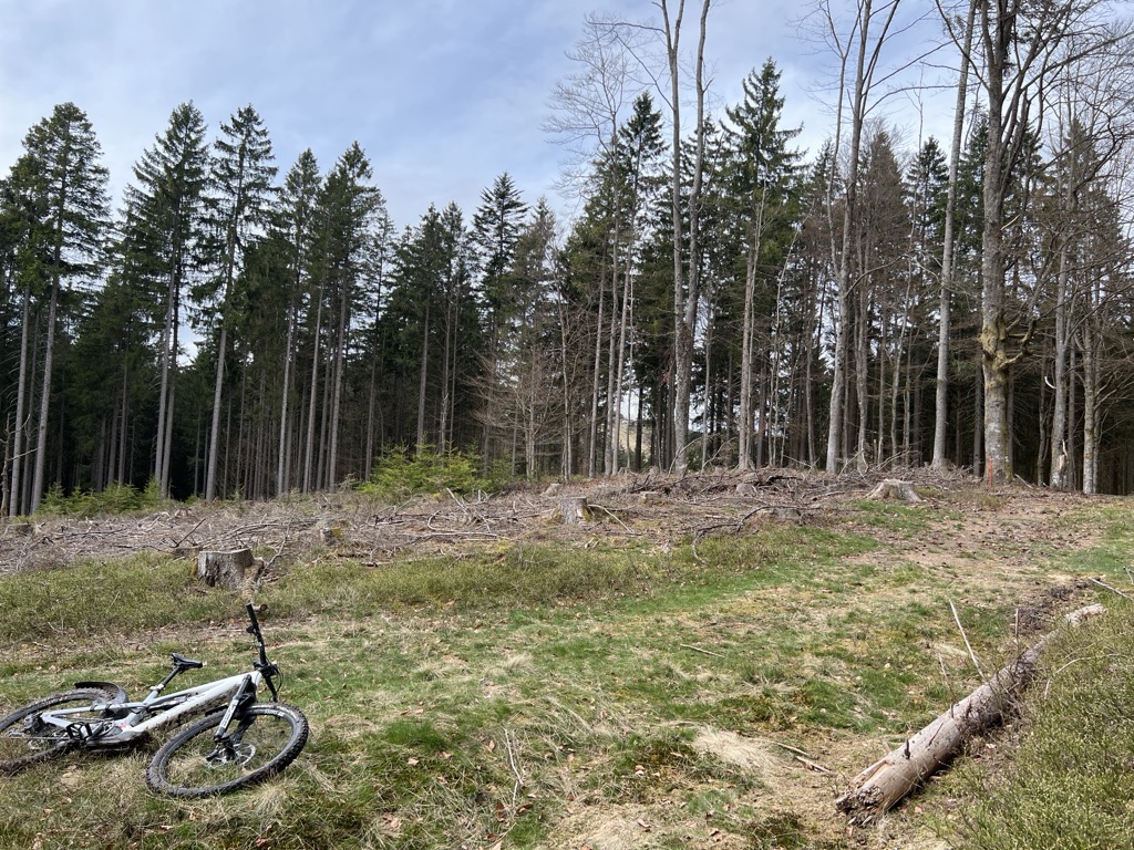 Mitterscheibling
