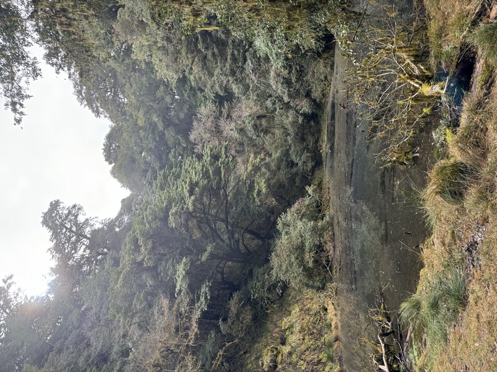 陳煌仁