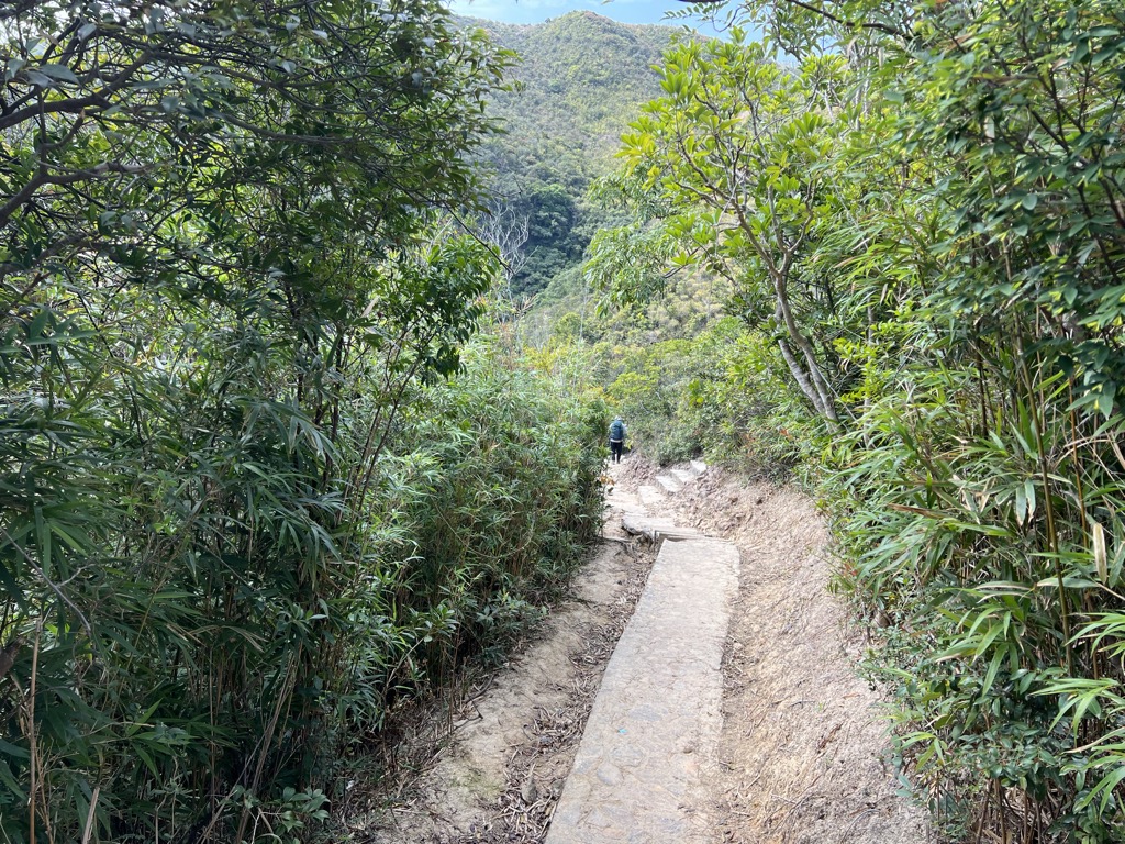 Chui Tung Au