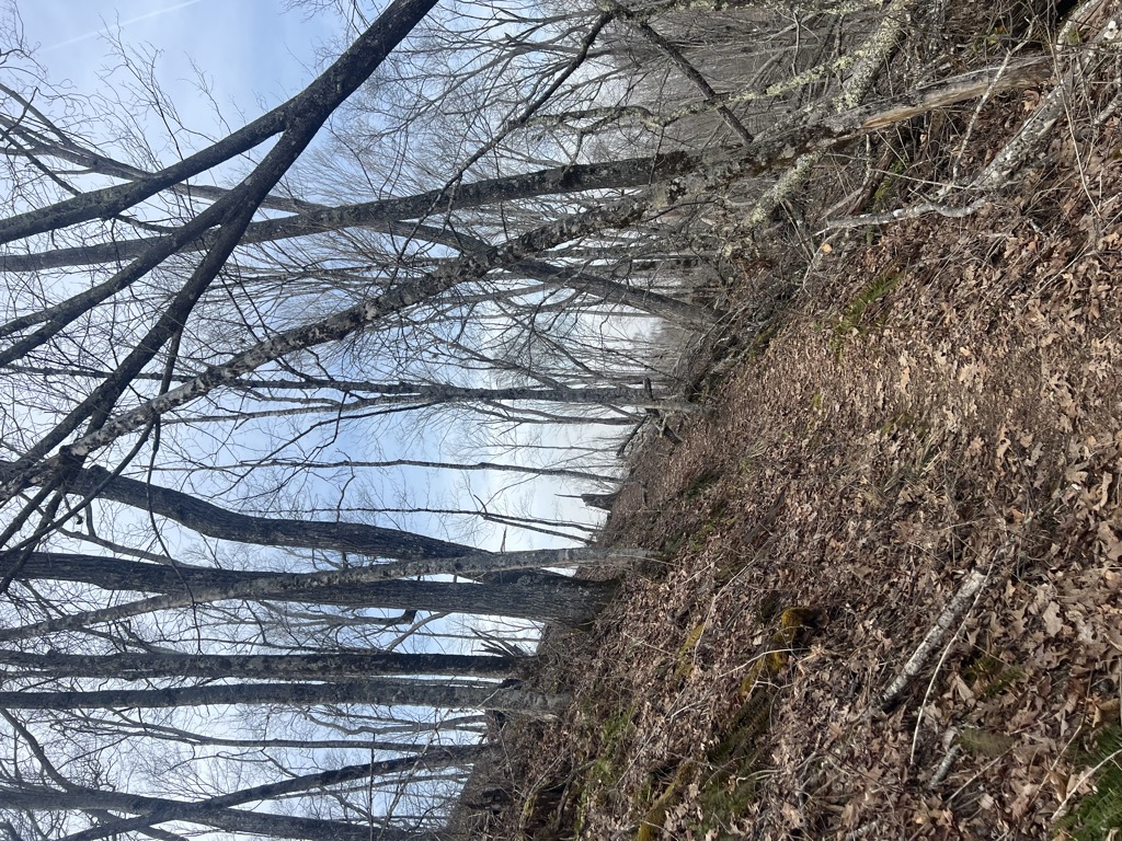 White Rocks Mountain
