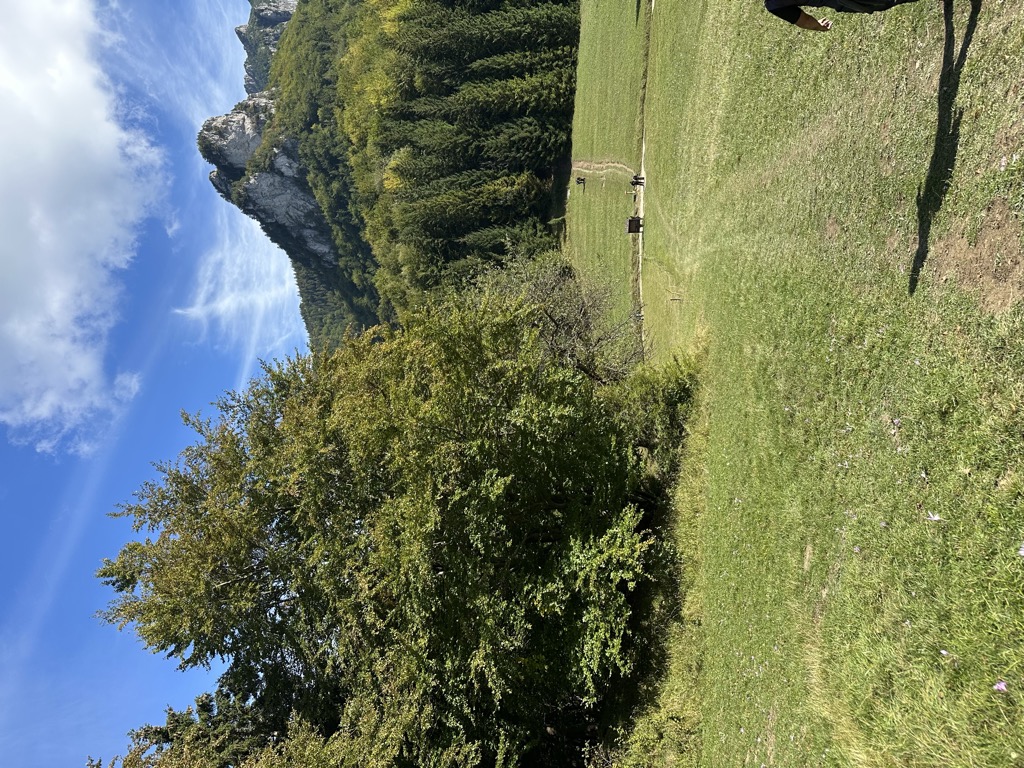 Vrchpodžiar