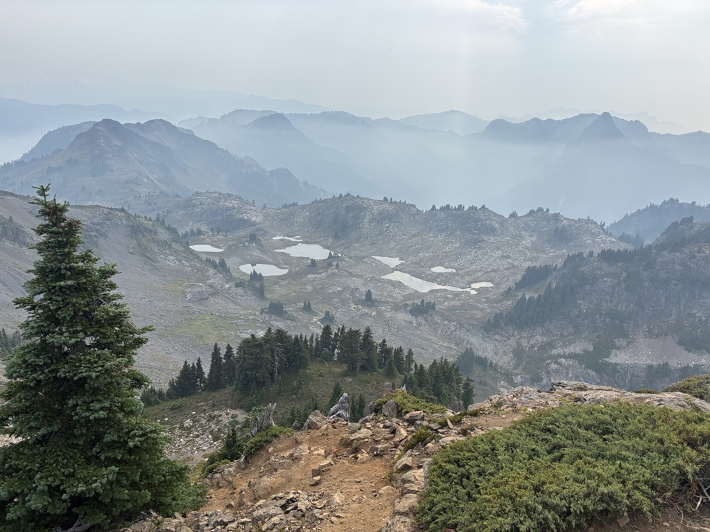 Yellow Aster Butte