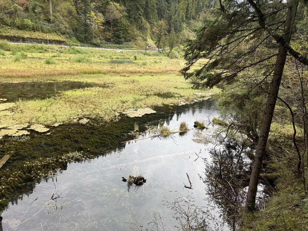 Grass Lake