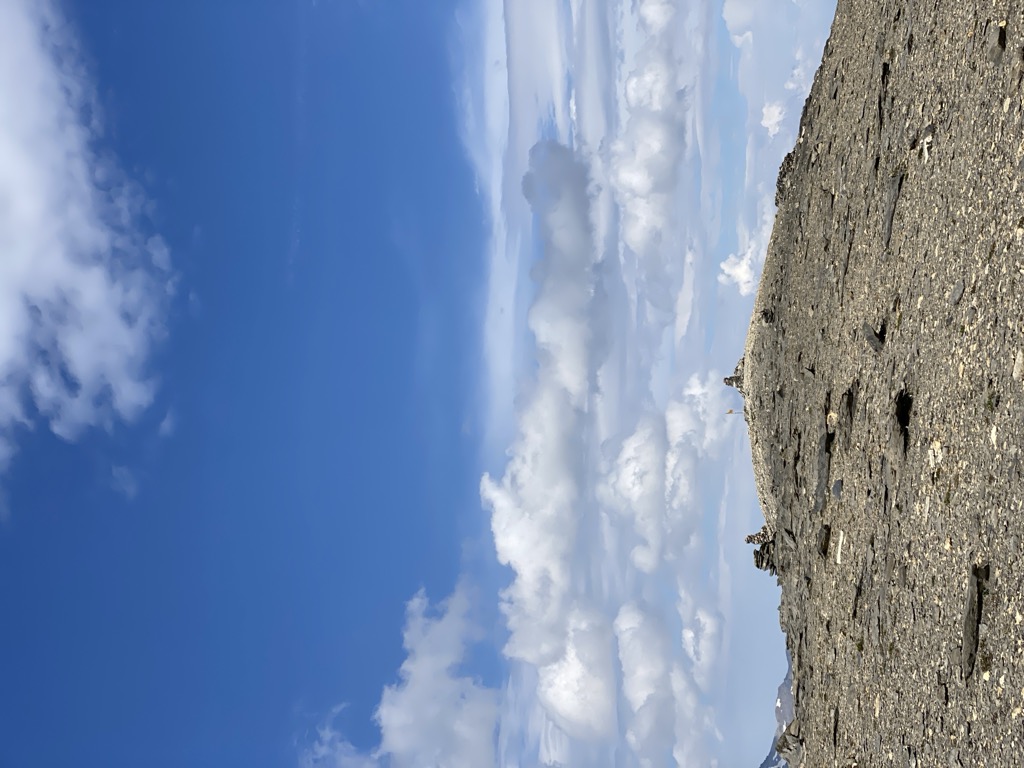 Pointe du Génévrier