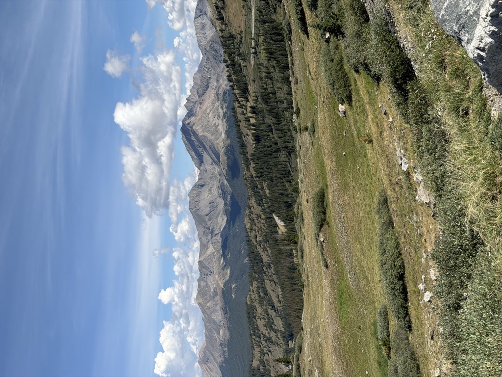 Cottonwood Pass