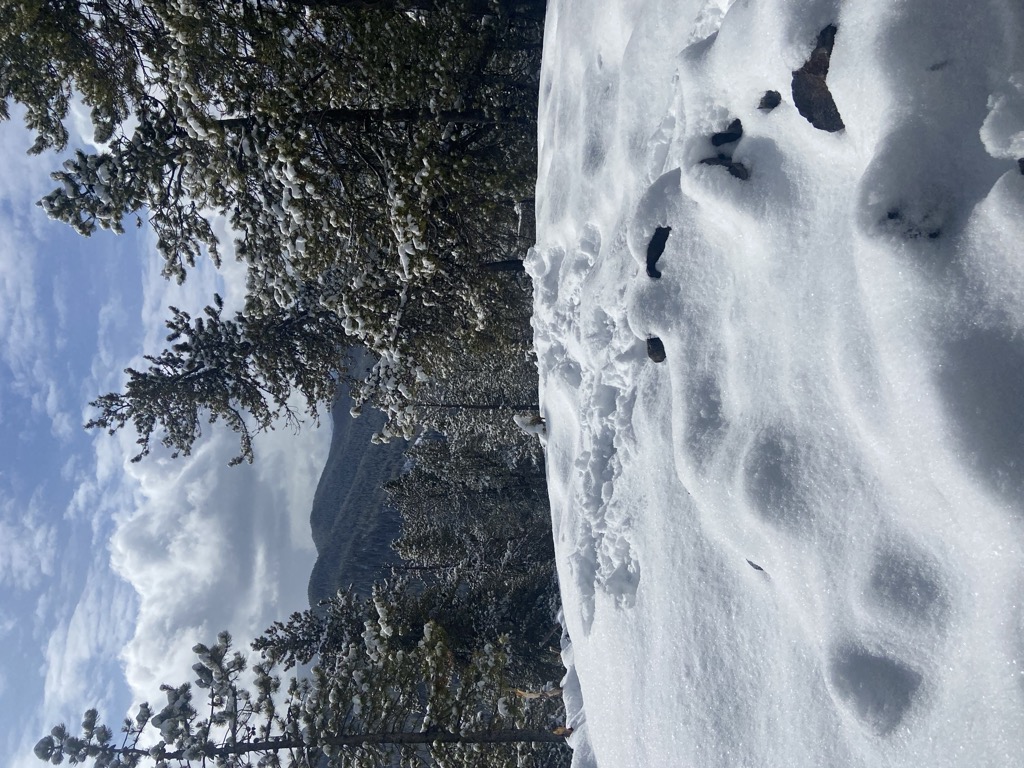 Mount McNab