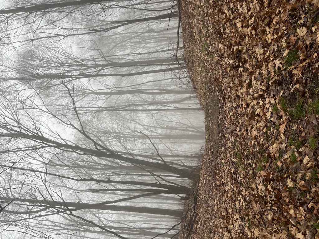 Rice Gap