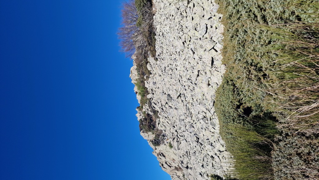 Roc del Pou