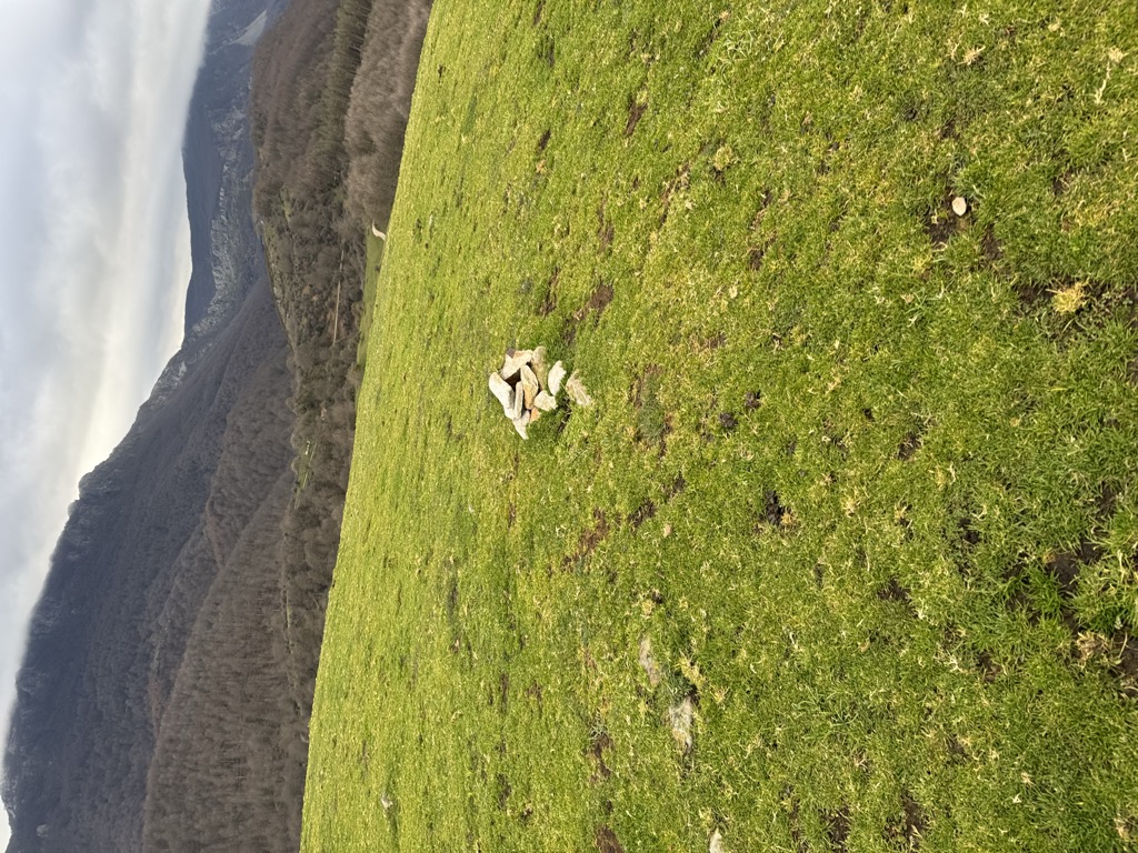 Unamuño