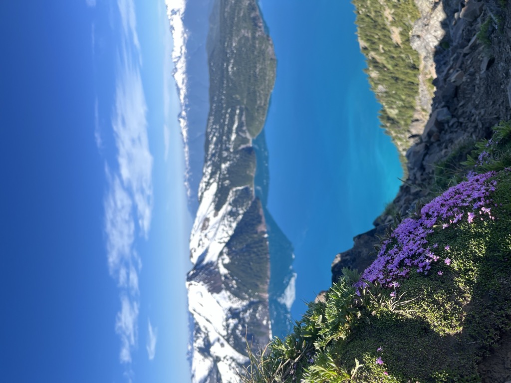 Garibaldi Lake Campground