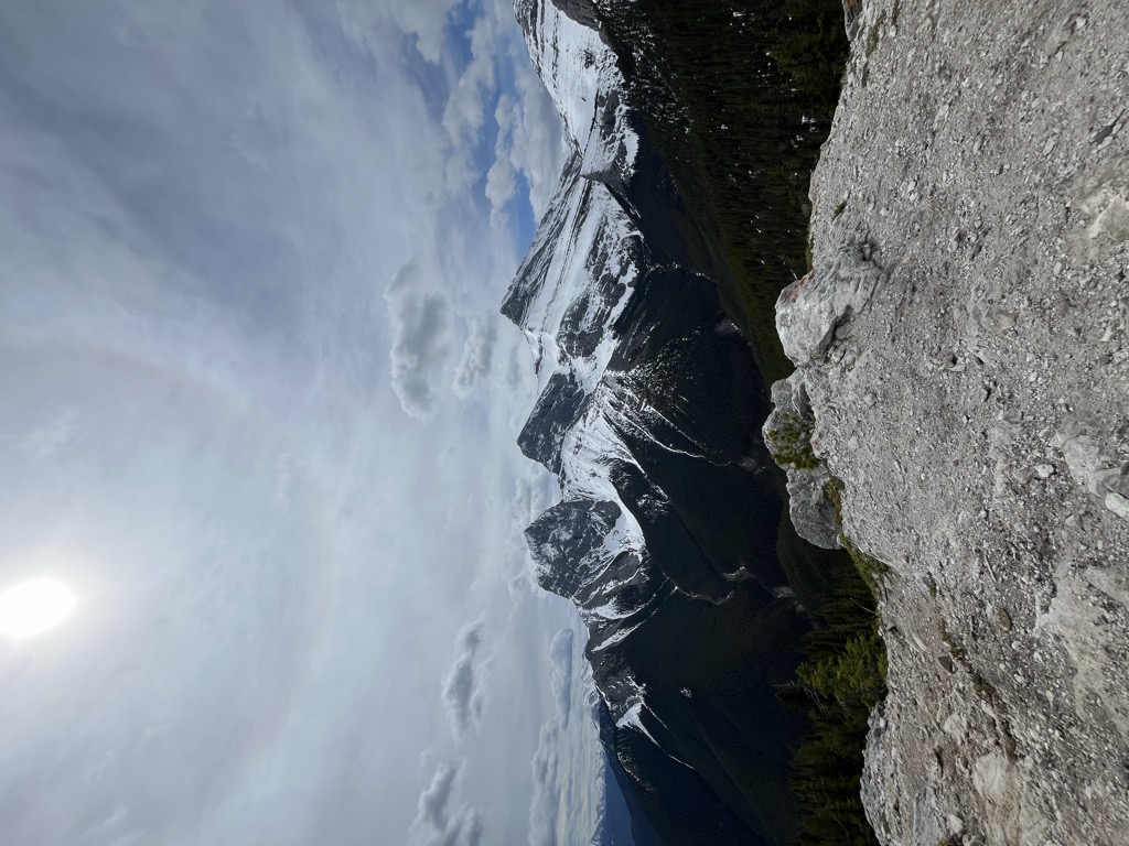 Grassi Knob