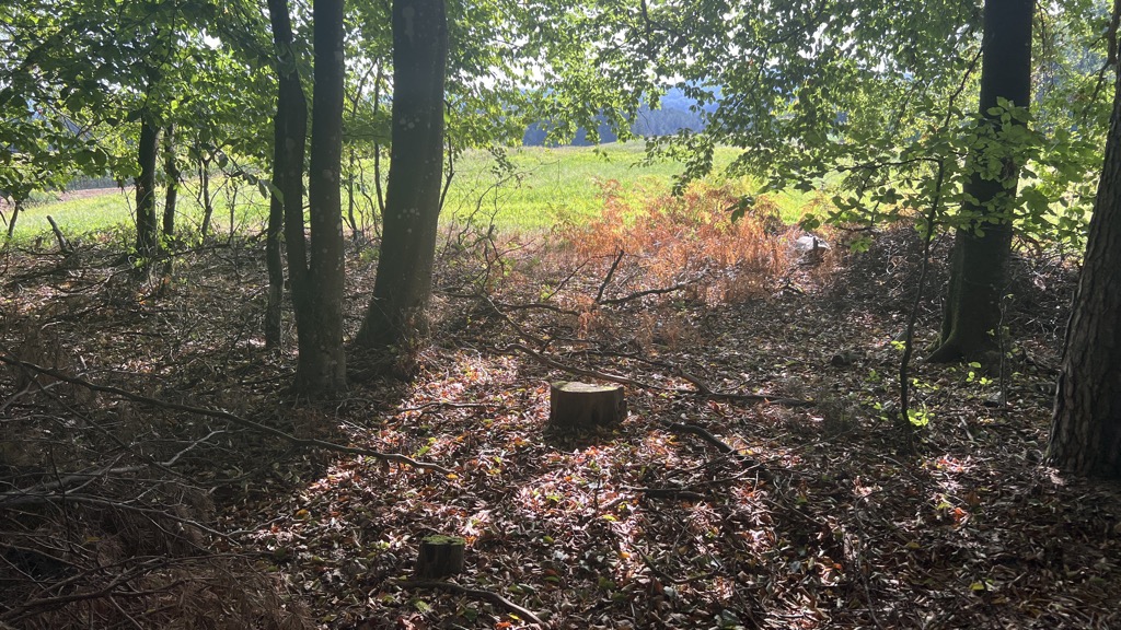 Priefinger Berg