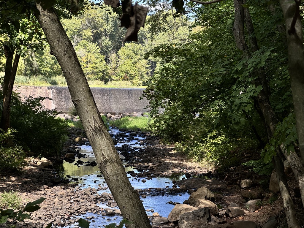 Diamond Mill Pond