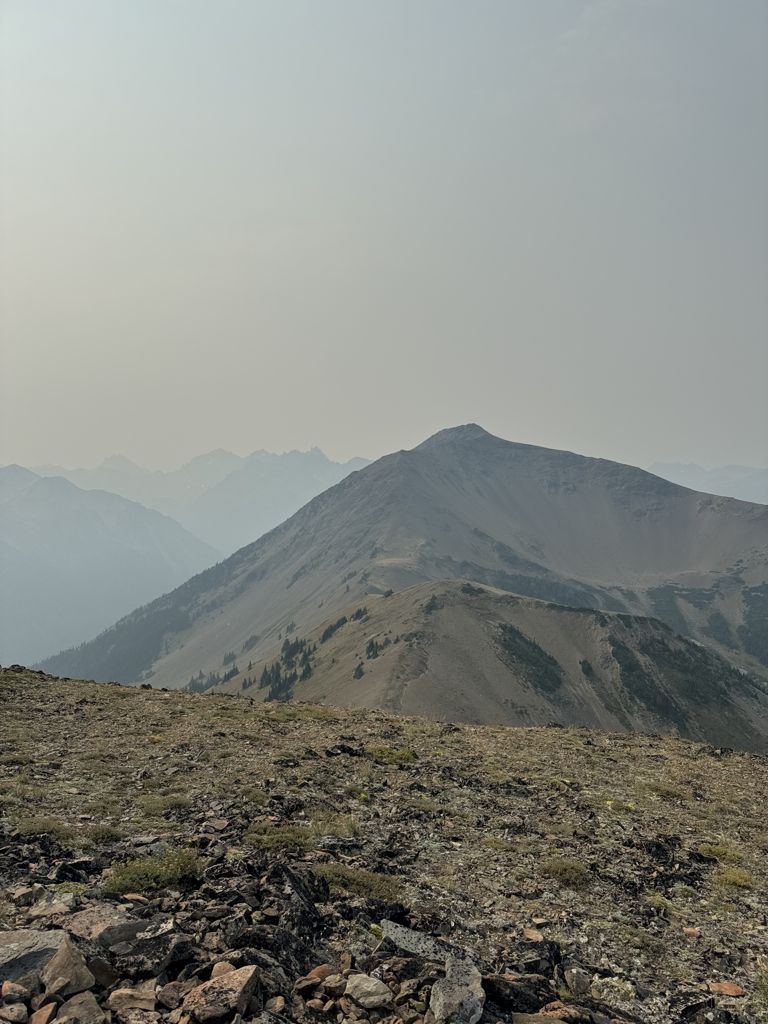 Baldy