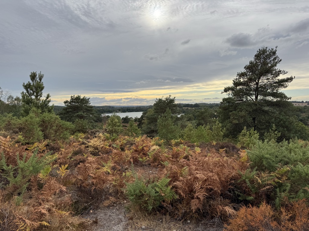 The King's Ridge