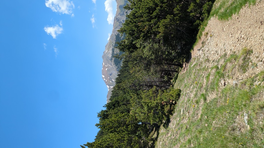 Coll de la Miquela