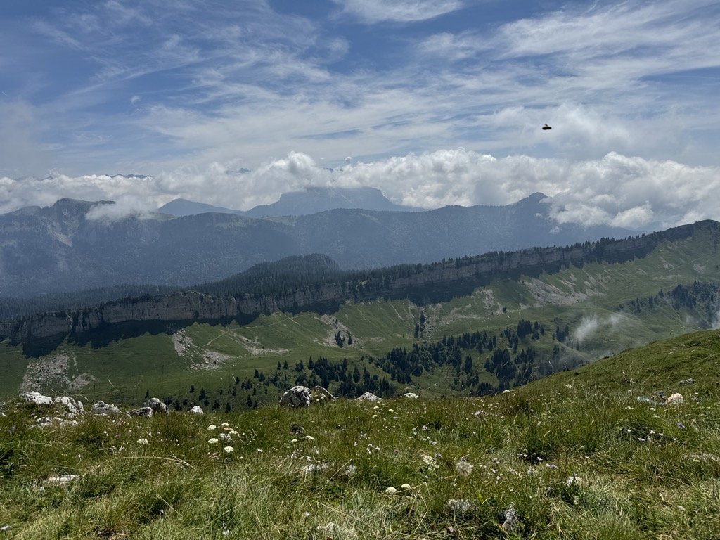La Grande Sure
