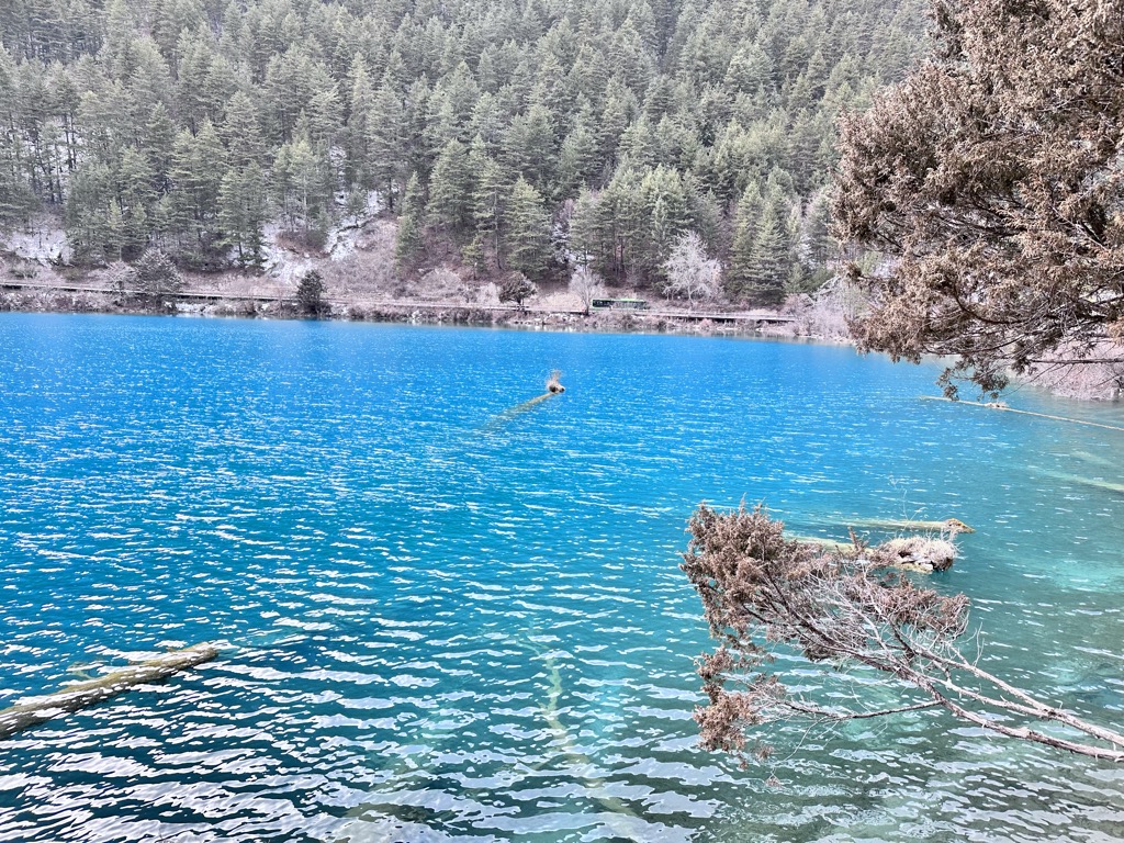 Rhinoceros Lake