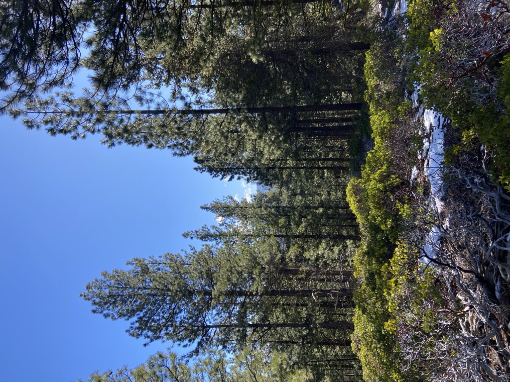 Swamp Wells Butte