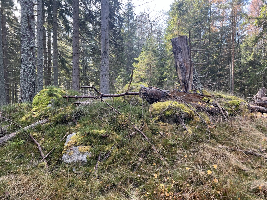 Ovesný vrch