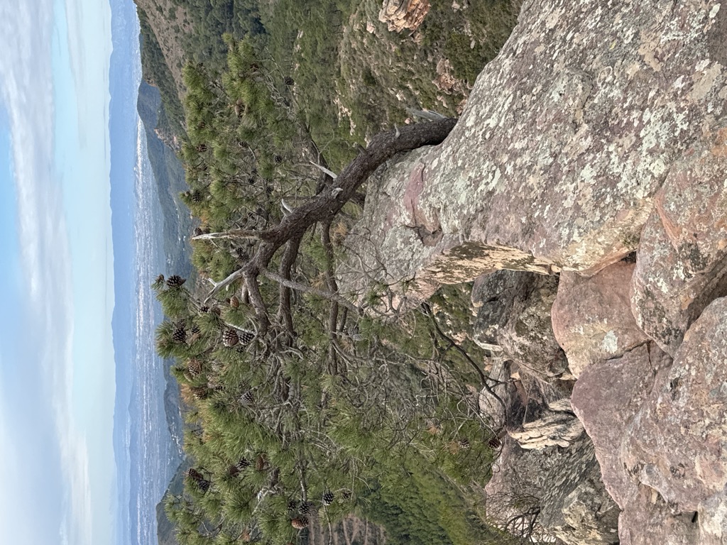 Puntal de l'Abella