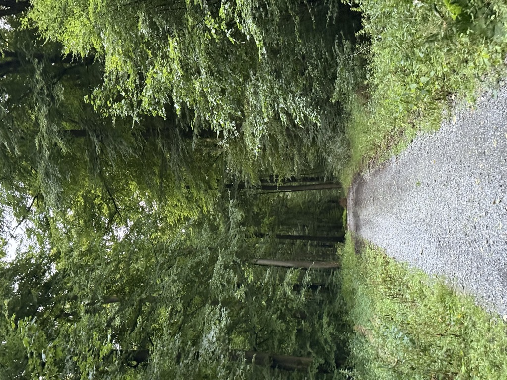 Holschenberg