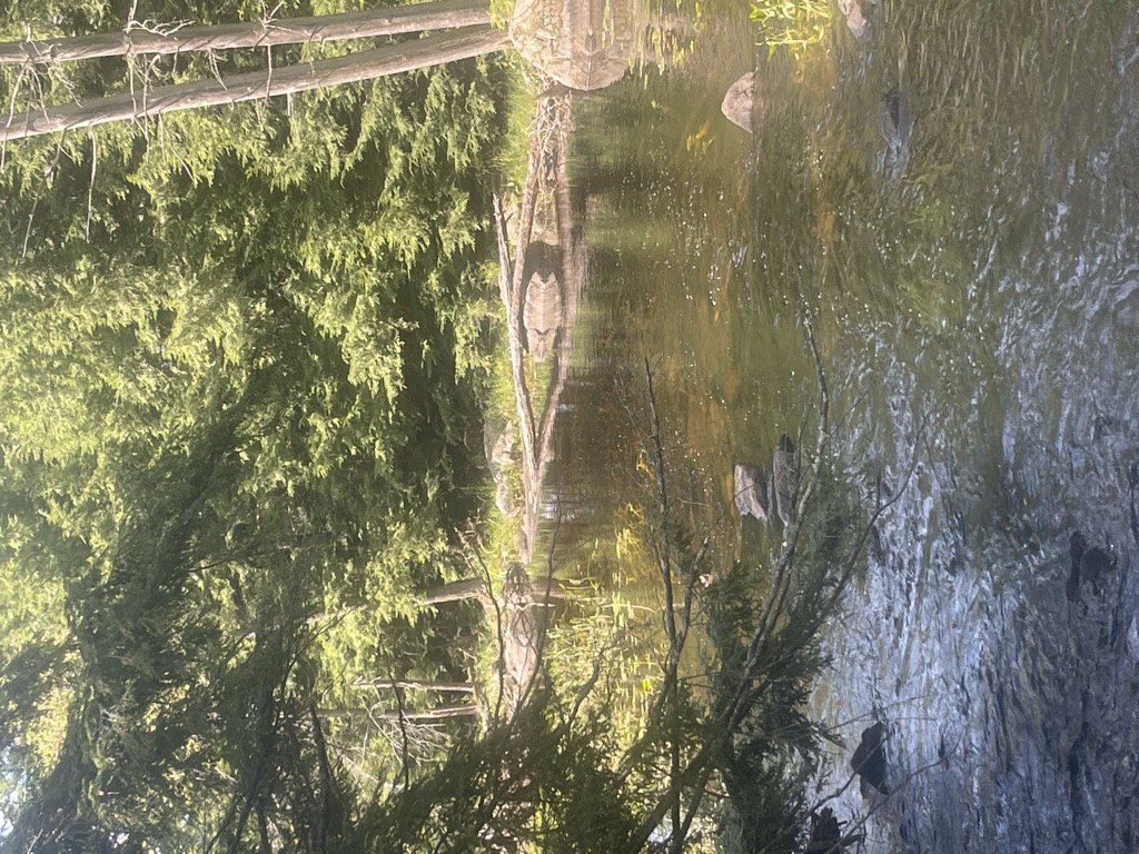 Alder Pond