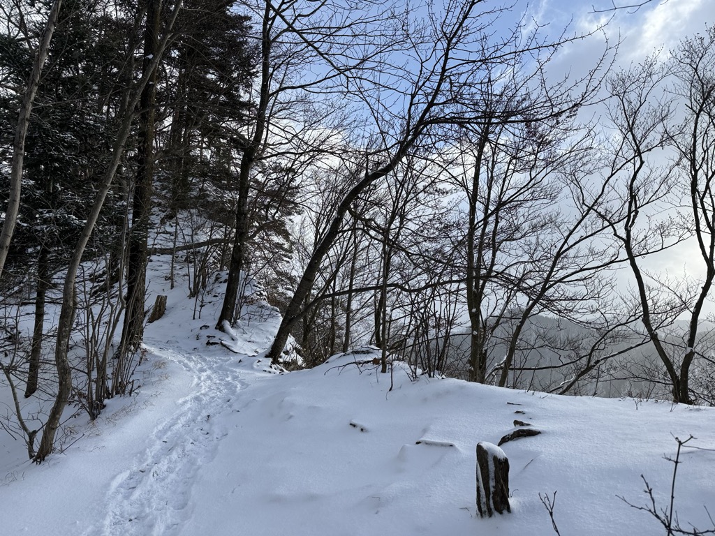 Czerteż