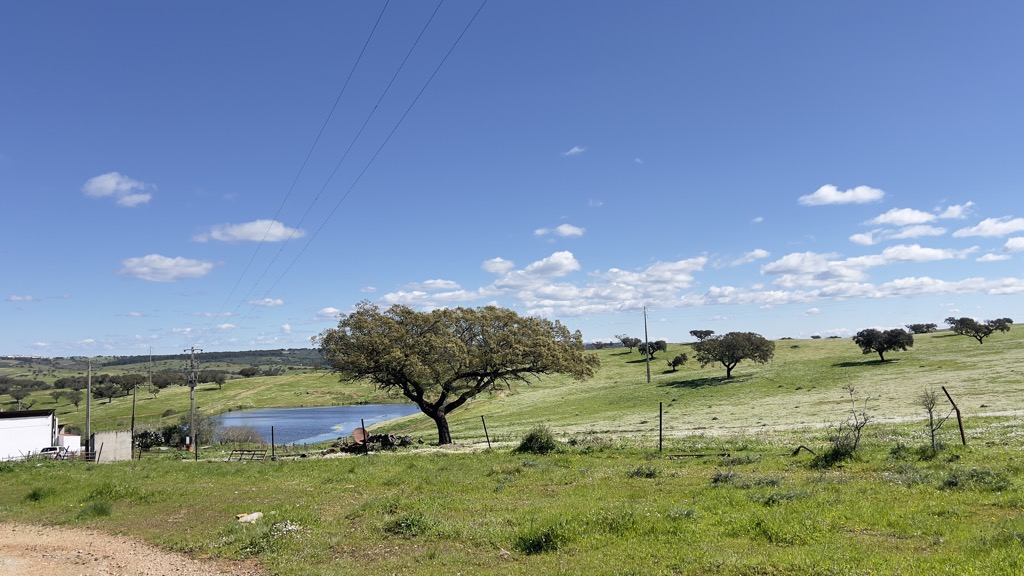 Montalvão