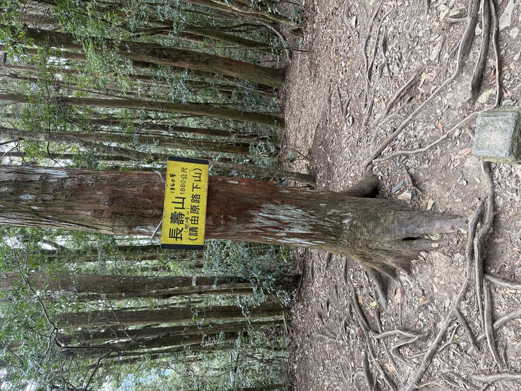 陳秀春