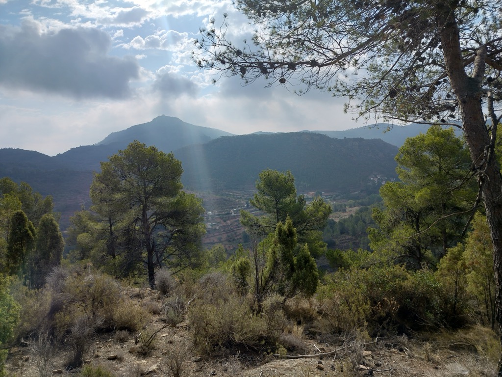 Puntal de la Alameda