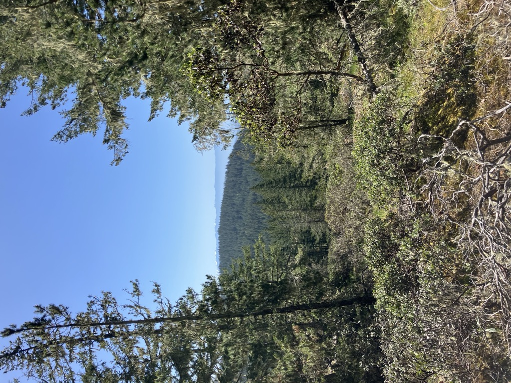 West Rampart