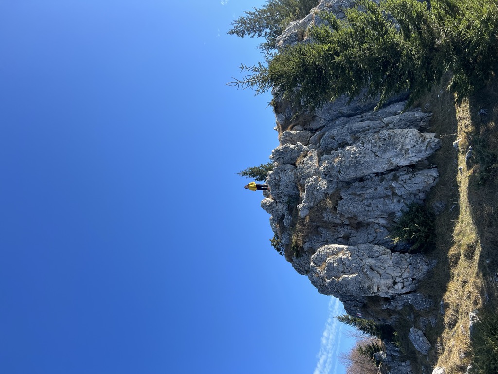 Măgura Mare