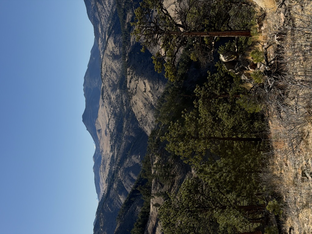 Mount Galbraith