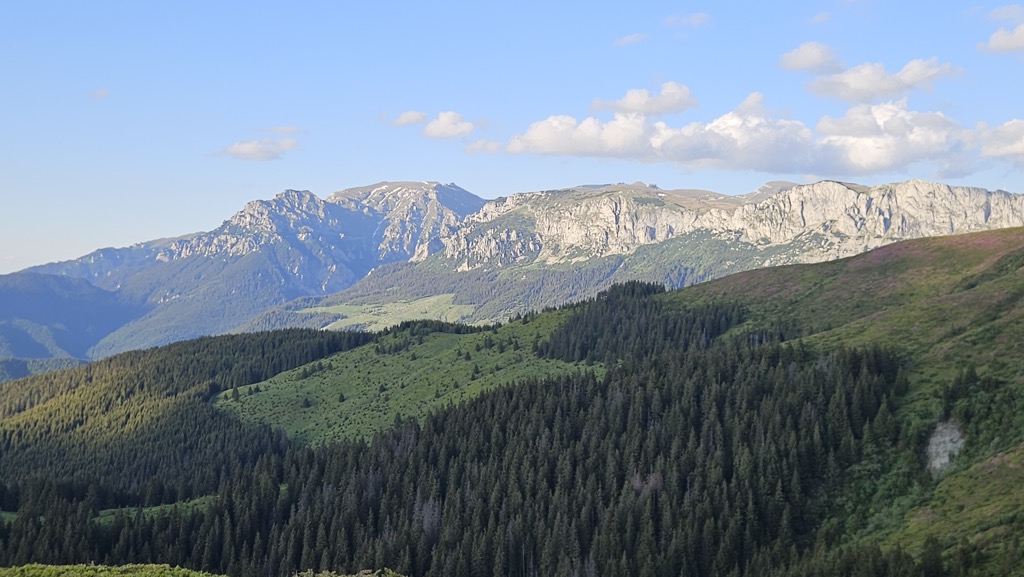 Piscul Lacului