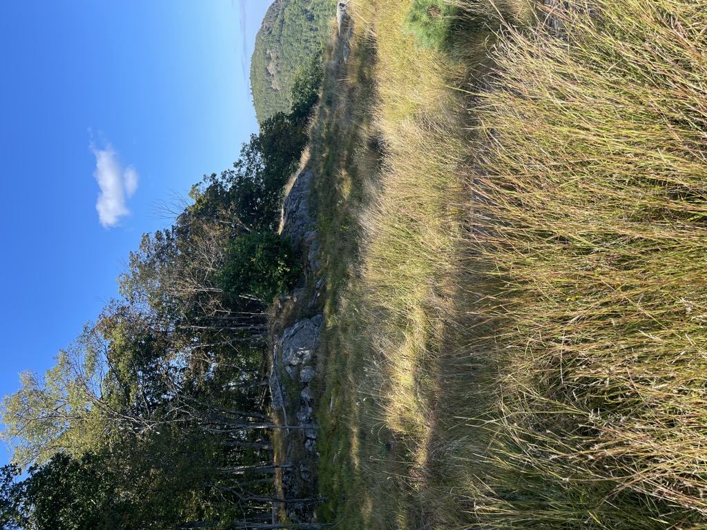 First Peak