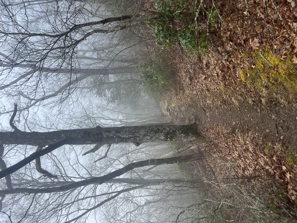 Little Ridgepole Mountain