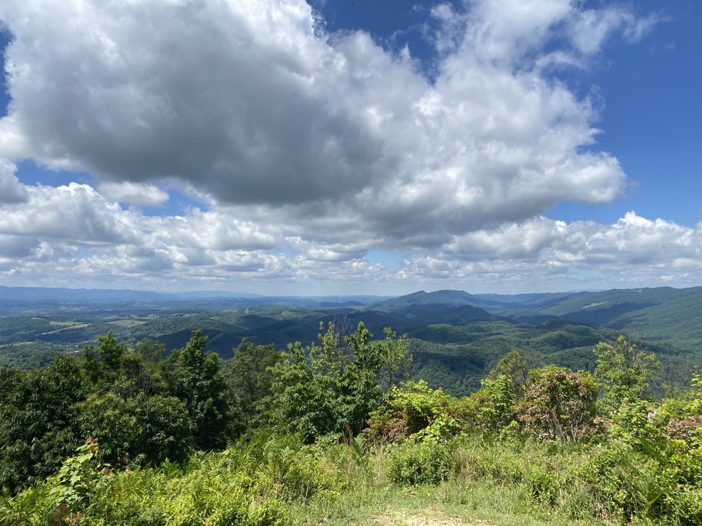 Mollys Knob