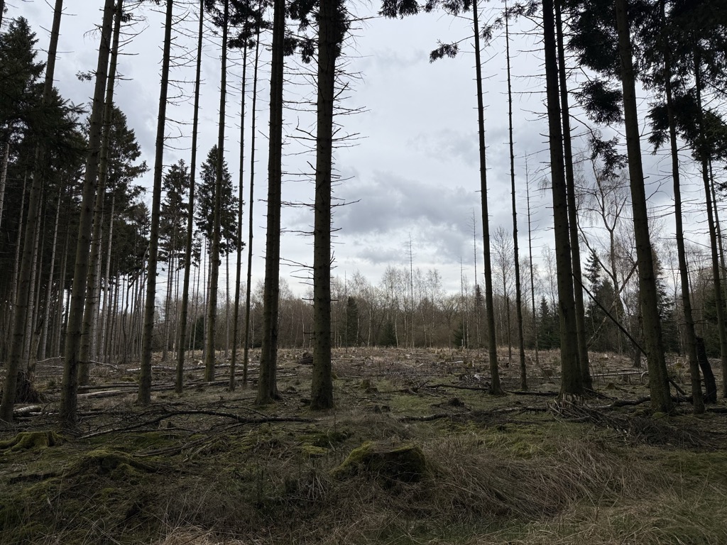 Großer Pulskopf