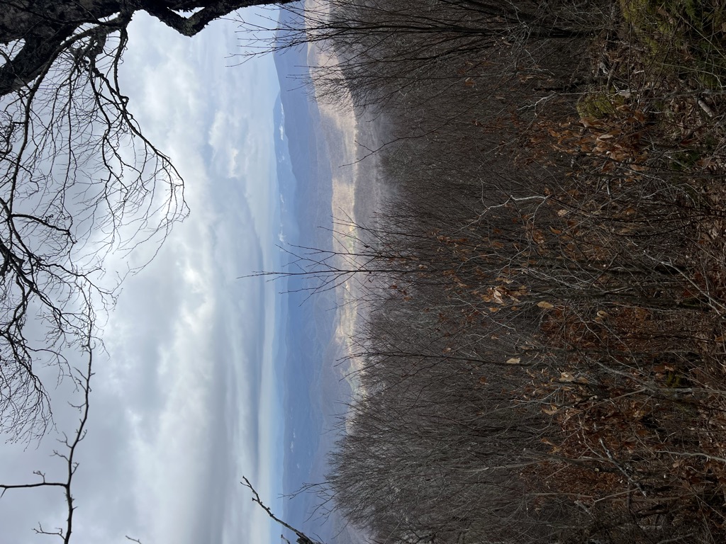 Beartown Mountain