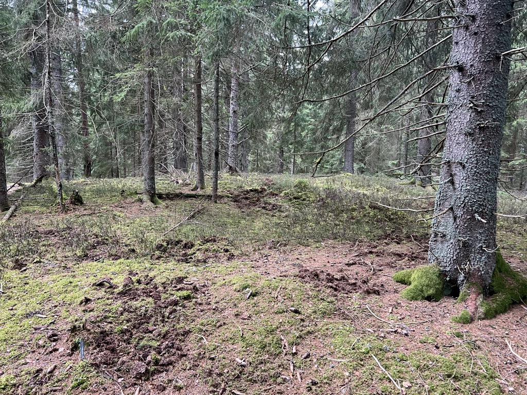 Jelení vrch