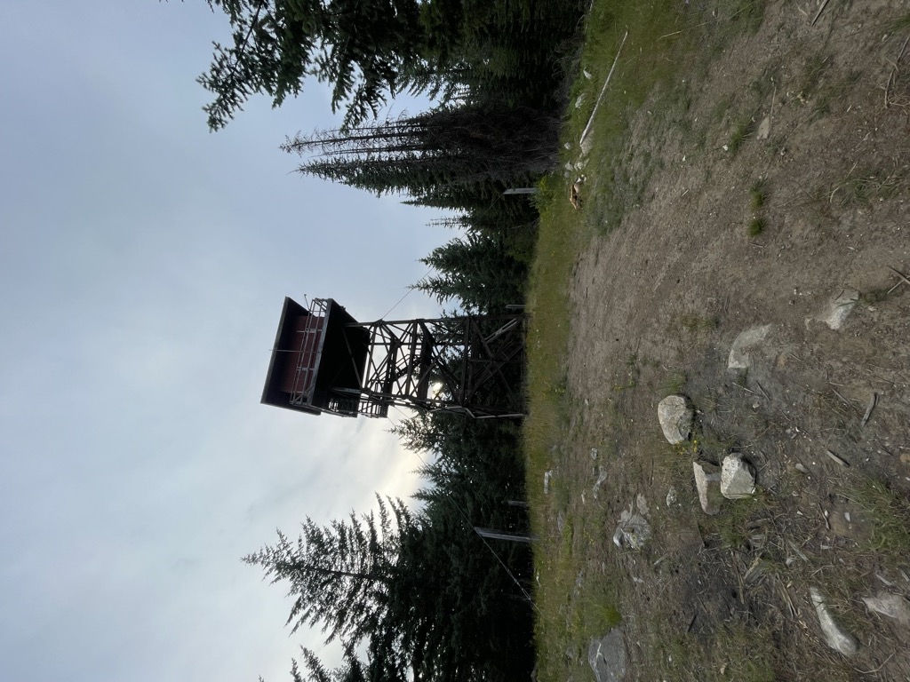 Timber Mountain