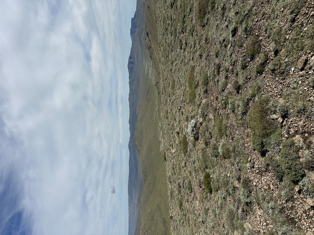 Lithobolong