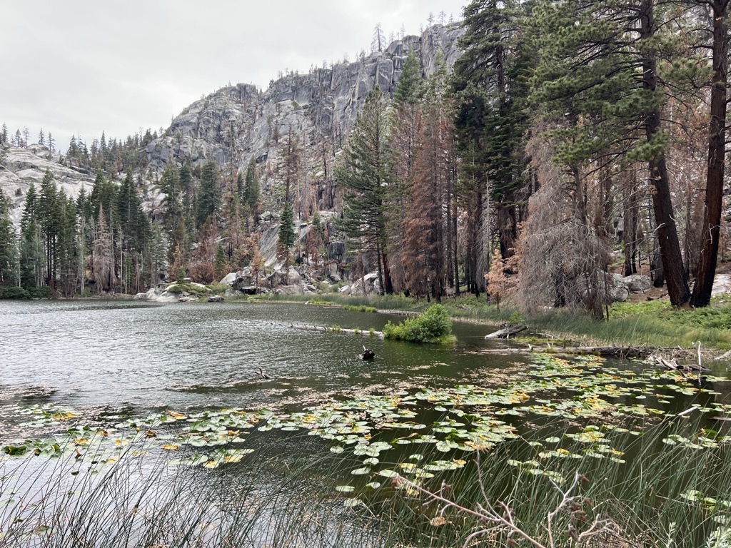 Ward Lake