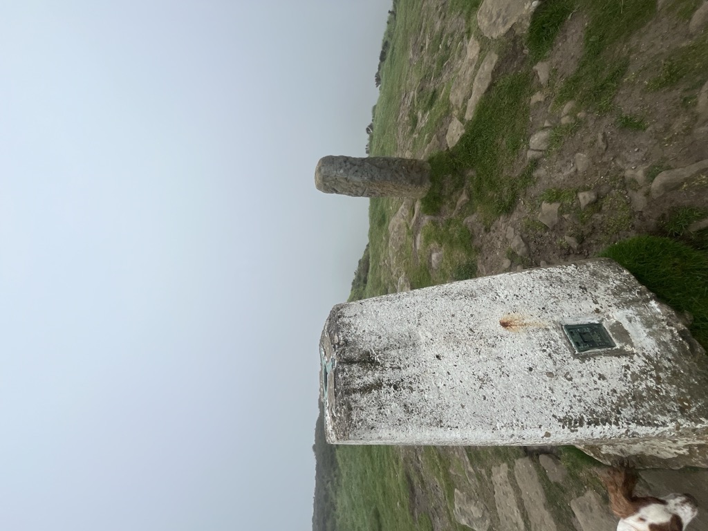 Carlton Bank