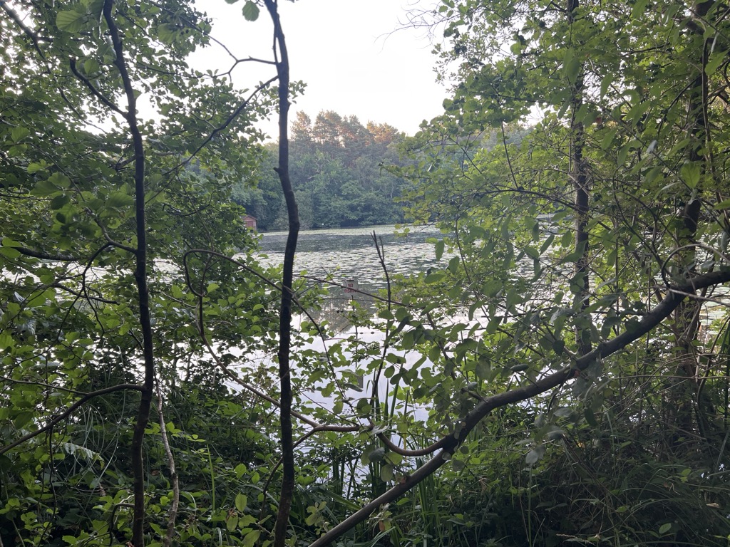 Forked Pond