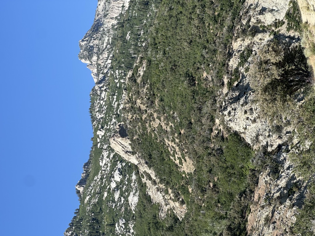 Lone Rock